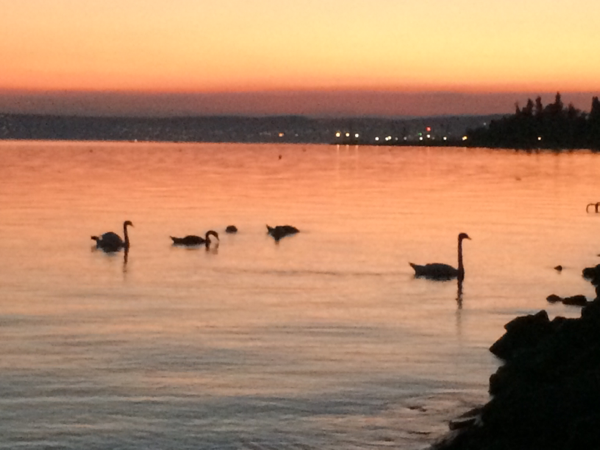 Balatonakarattya