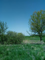Mezőnagymihály
