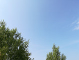 Vép