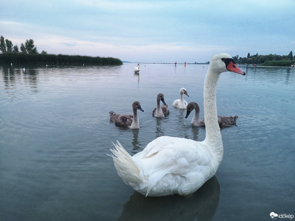 Balatonszemes