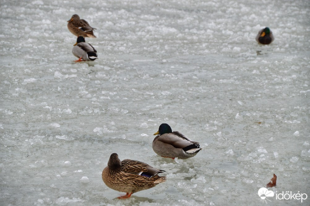 Balatonszemes