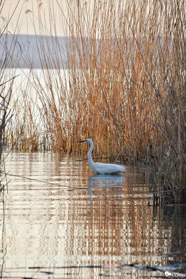 Balatonszemes