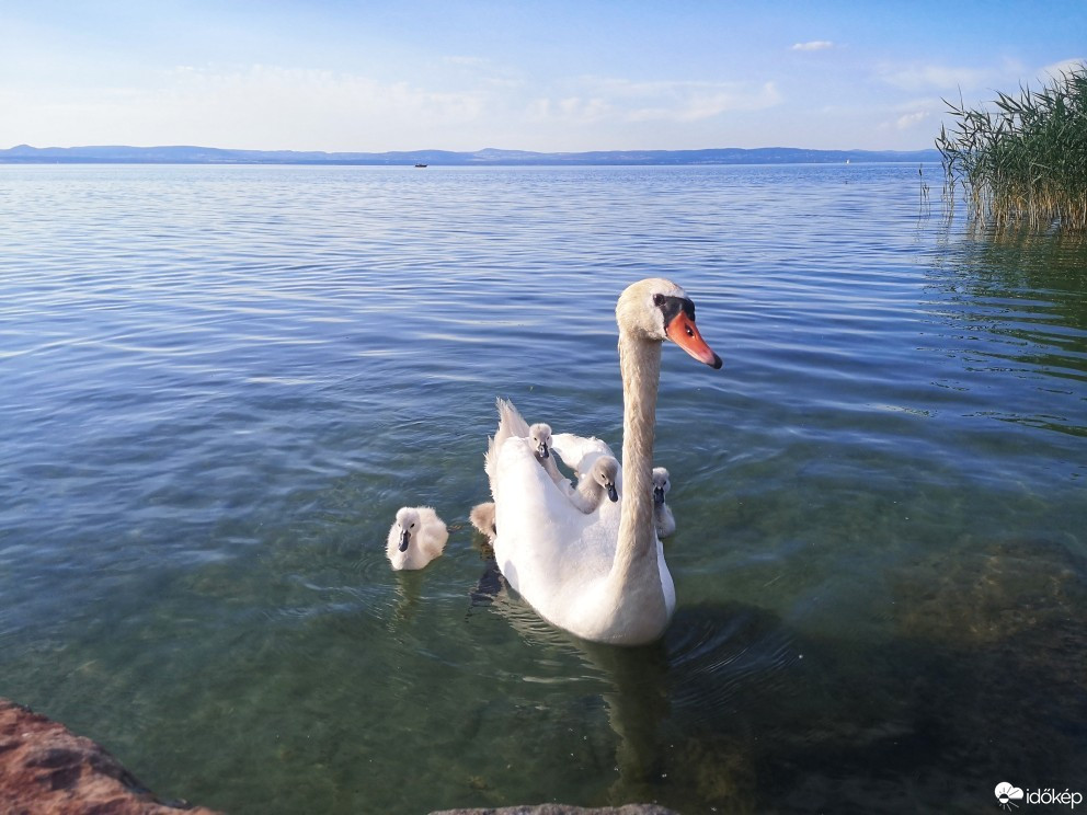 Balatonszemes