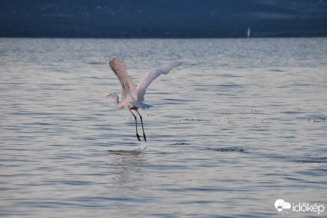 Balatonszemes