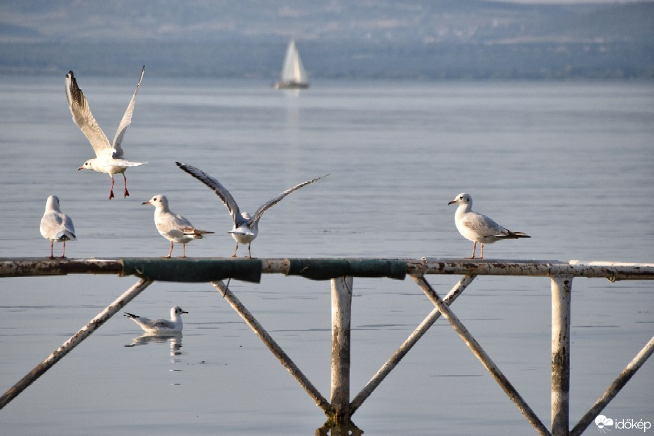 Balatonszemes