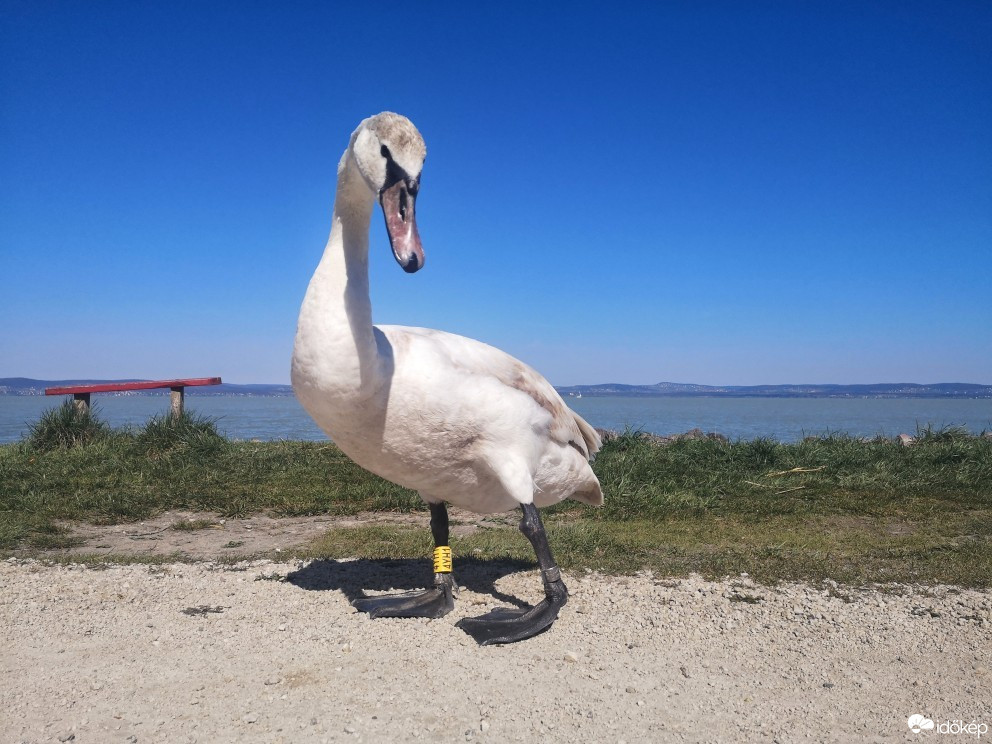 Balatonszemes