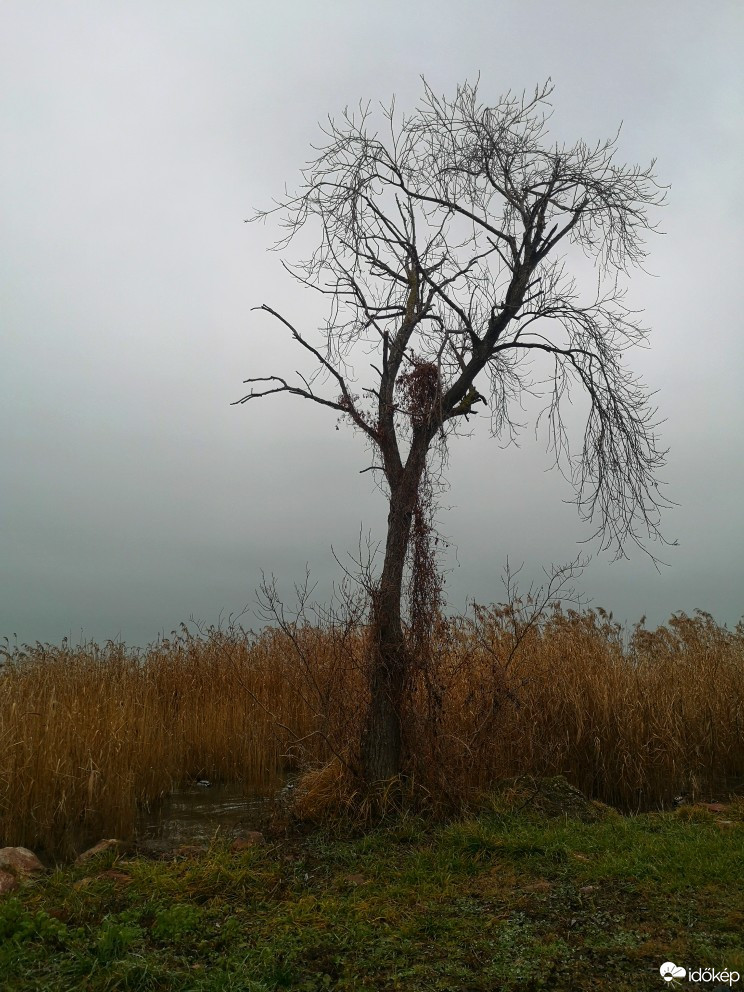 Balatonszemes