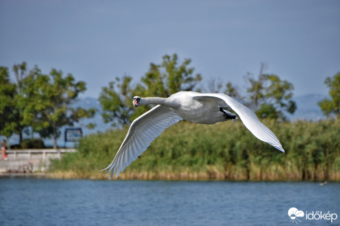 Balatonszemes