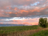 Adács