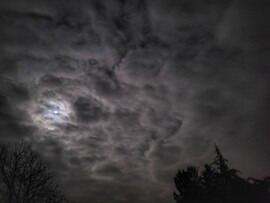 Nyírszőlős