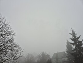 Nyírszőlős