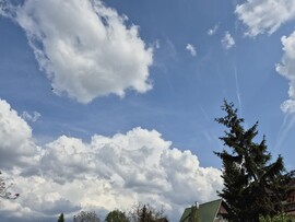 Nyírszőlős