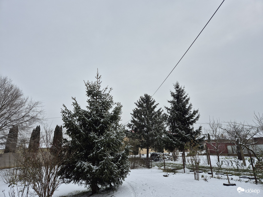 Nyírszőlős
