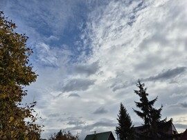 Nyírszőlős
