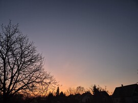 Nyírszőlős