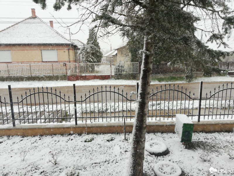 Sárbogárd