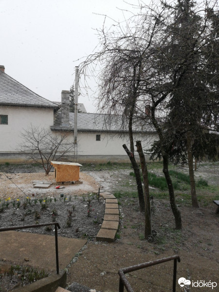 Sárbogárd