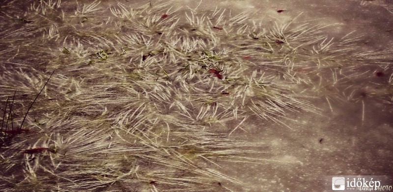 Jégbe zárva és temetve.....