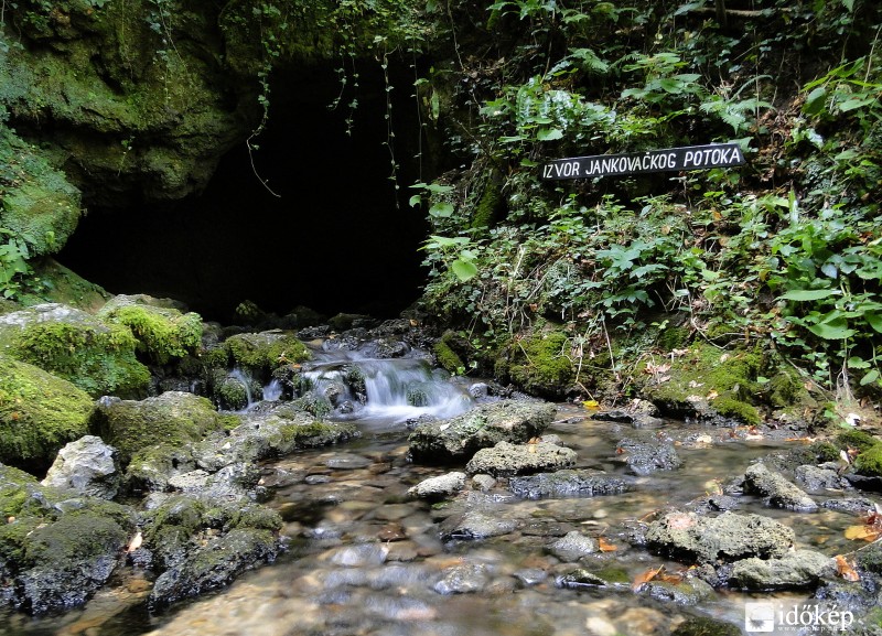 Papuk, Jankovac