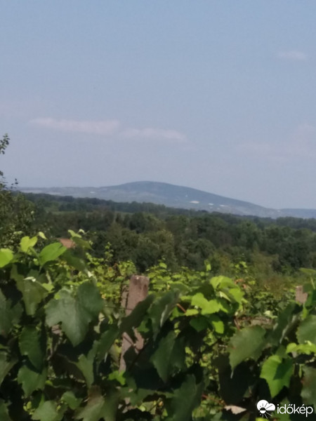 Beregsurány