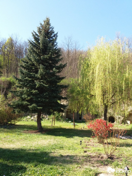 Egerszalók