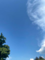 Vác