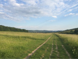 Buda