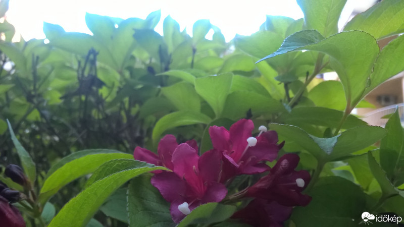 Budapest VIII.ker - Józsefváros