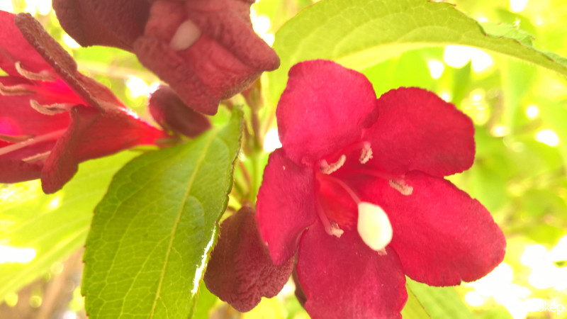 Budapest VIII.ker - Józsefváros