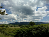 Pásztó