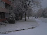 Reggeli hó