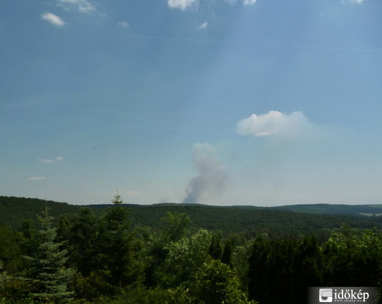 Tarlótűz a Domonyvölgyben