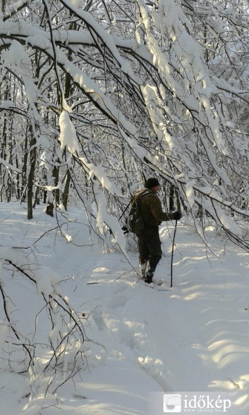 Narnia 