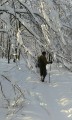 Narnia 
