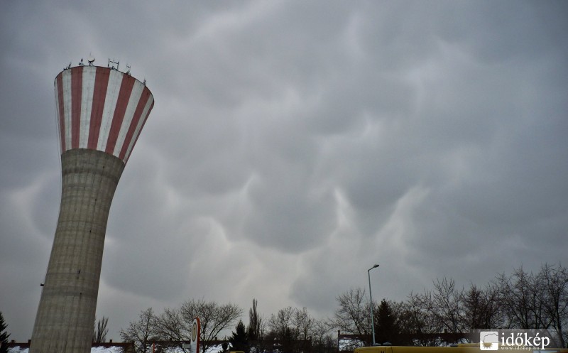 Orosháza, 2011. március 6.