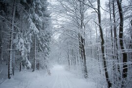 Sopron - Brennbergbánya