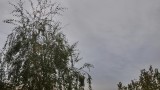 Szolnok