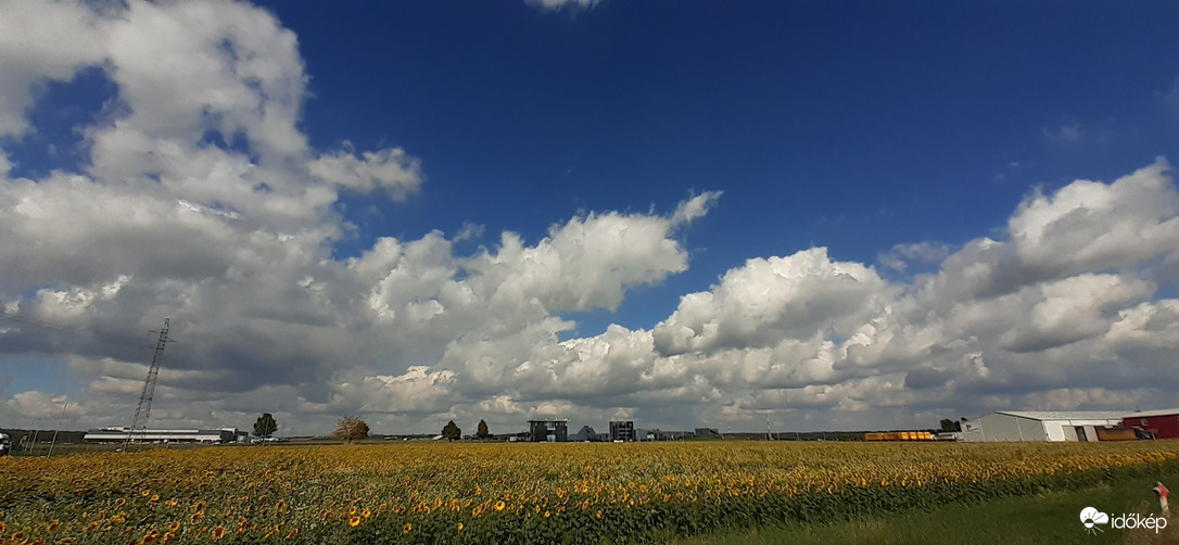 Kispáli