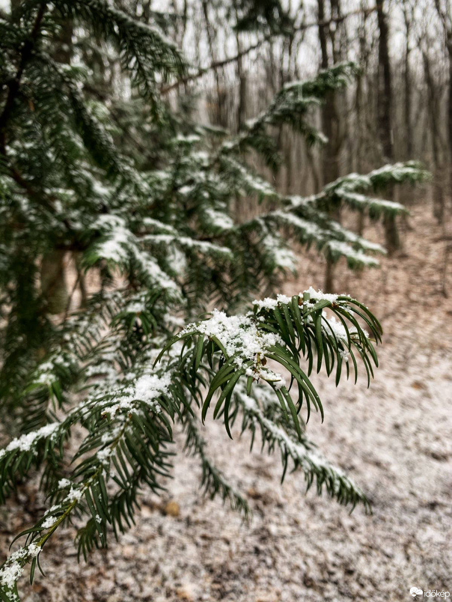 Budapest XIX.ker - Kispest