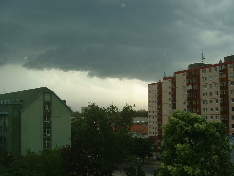 gyanús alak(zat)ok, Fehérvár