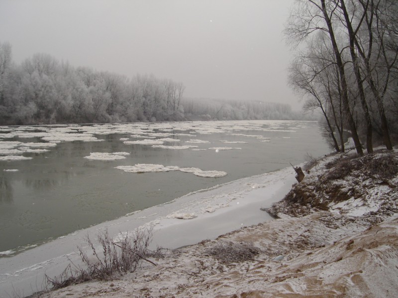 a tisza zajlása