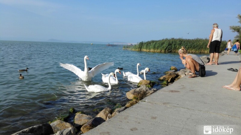 Balatonszárszó