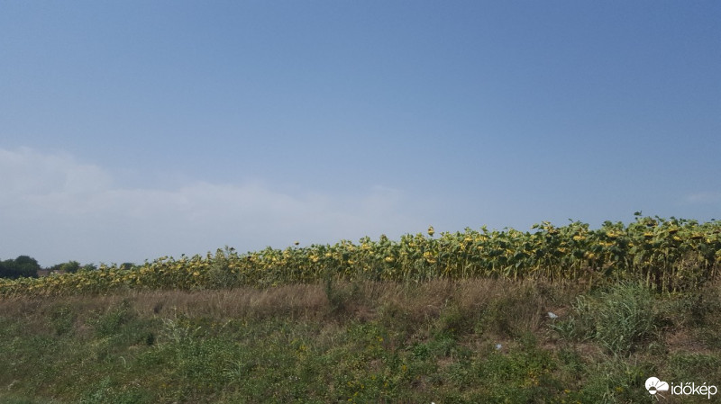 Mosdós