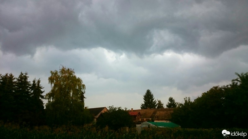 Dávod