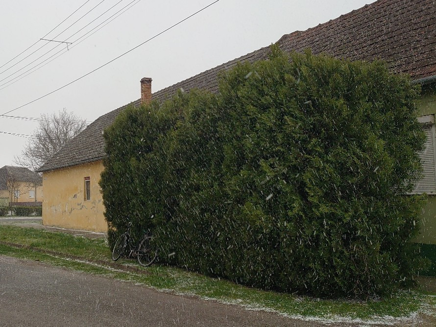 Dávod