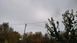 Dávod