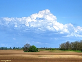 Dávod határában