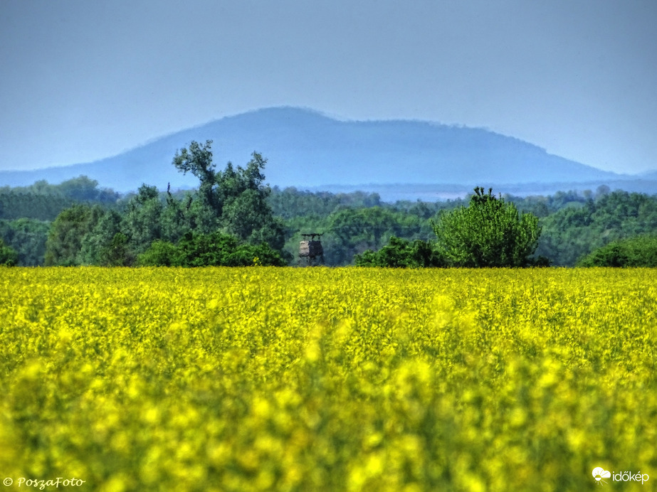 Repcemező