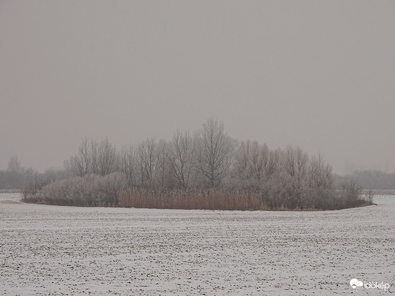 Dávod határában
