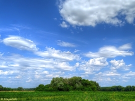 Dávod